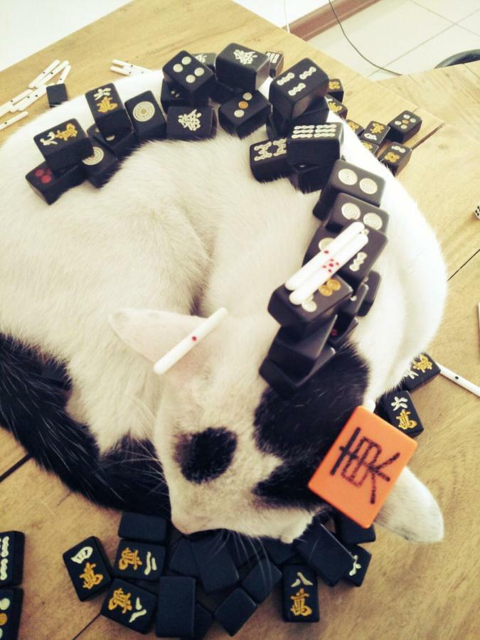 Cat Japanese Only At Uh Huh House Hostel Cebu Buitenkant foto